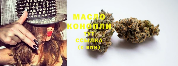 крисы Сатка