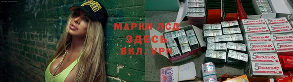 крисы Сатка