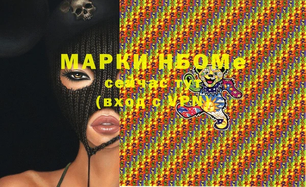 крисы Сатка
