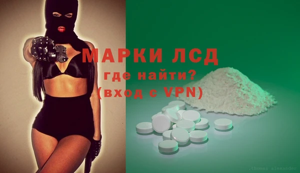 крисы Сатка