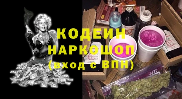 крисы Сатка