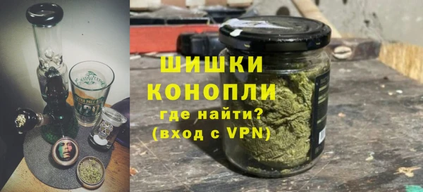 крисы Сатка