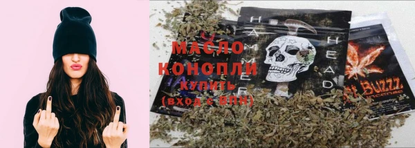 крисы Сатка