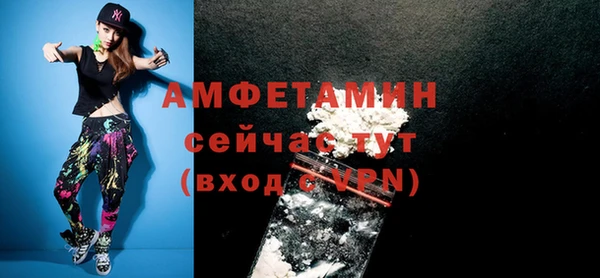 крисы Сатка