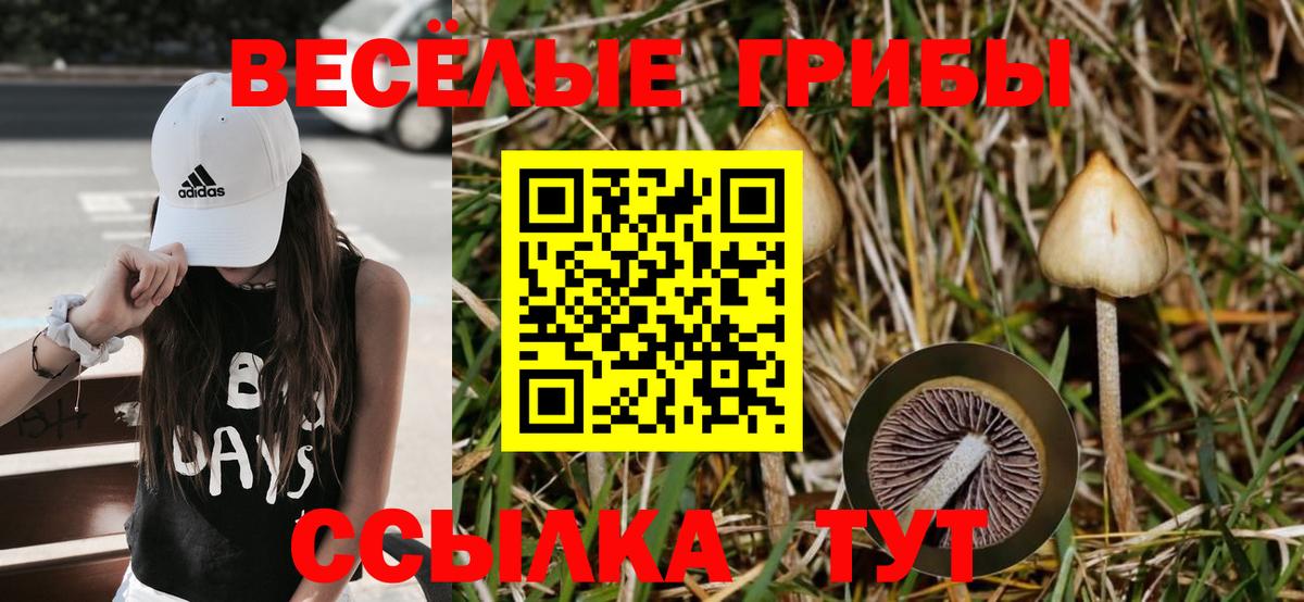 Галлюциногенные грибы мухоморы  Вход с VPN  Галлюциногенные грибы мицелий  Тосно 
