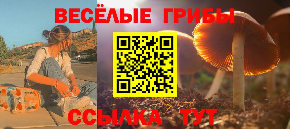 Каннабис  Тосно  Экстази  МЕФ кристаллы  Вход с VPN  Кокаин  ГАШ 