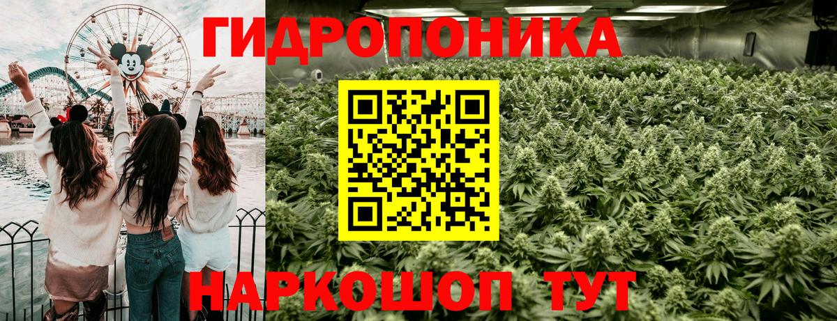 Бошки марихуана VHQ  Каннабис MAZAR  Вход с VPN  Бошки Шишки THC 21%  Конопля MAZAR  Тосно 
